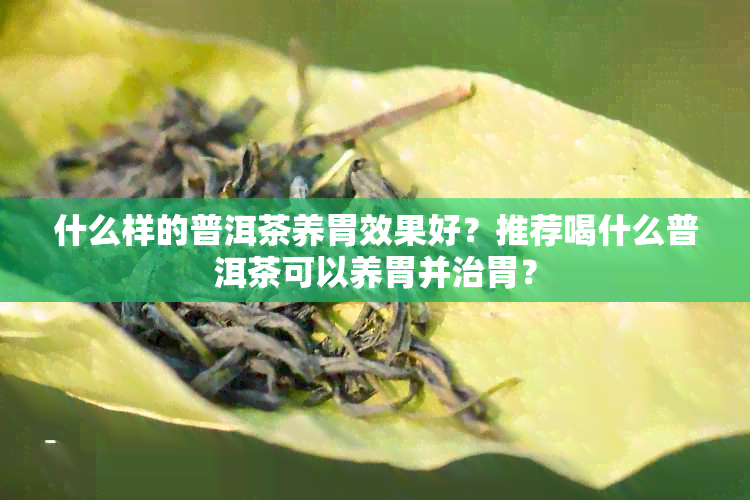 什么样的普洱茶养胃效果好？推荐喝什么普洱茶可以养胃并治胃？