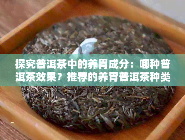 探究普洱茶中的养胃成分：哪种普洱茶效果？推荐的养胃普洱茶种类