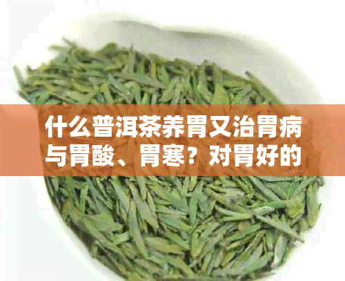 什么普洱茶养胃又治胃病与胃酸、胃寒？对胃好的普洱茶推荐