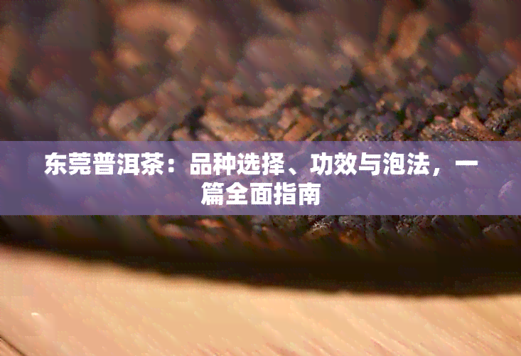 东莞普洱茶：品种选择、功效与泡法，一篇全面指南