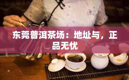 东莞普洱茶场：地址与，正品无忧