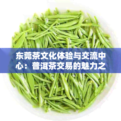 东莞茶文化体验与交流中心：普洱茶交易的魅力之地