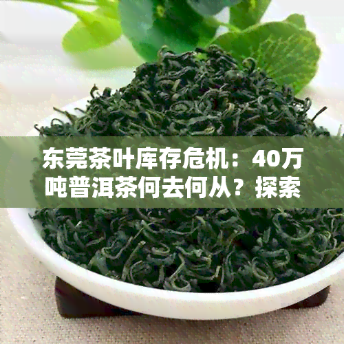 东莞茶叶库存危机：40万吨普洱茶何去何从？探索解决之道与市场前景