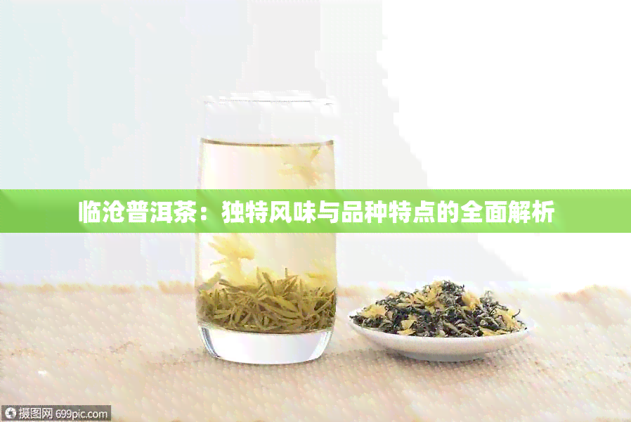 临沧普洱茶：独特风味与品种特点的全面解析