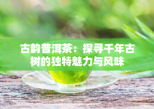 古韵普洱茶：探寻千年古树的独特魅力与风味