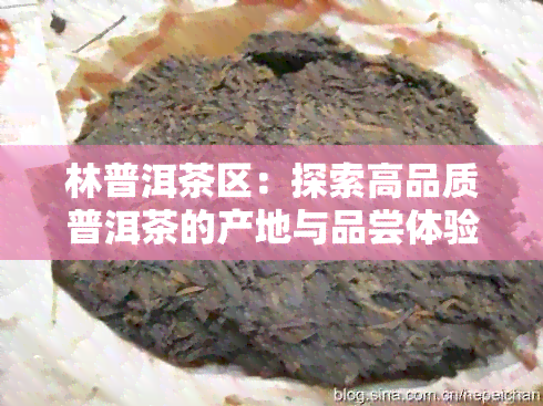 林普洱茶区：探索高品质普洱茶的产地与品尝体验