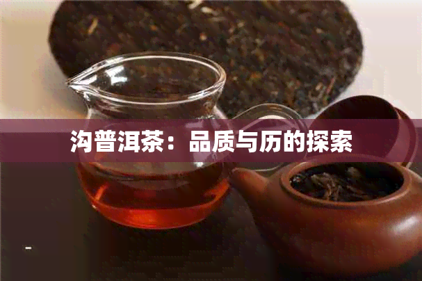 沟普洱茶：品质与历的探索