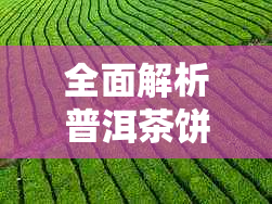 全面解析普洱茶饼品质：从外观、香气、口感到保存方法，助你挑选优质茶饼