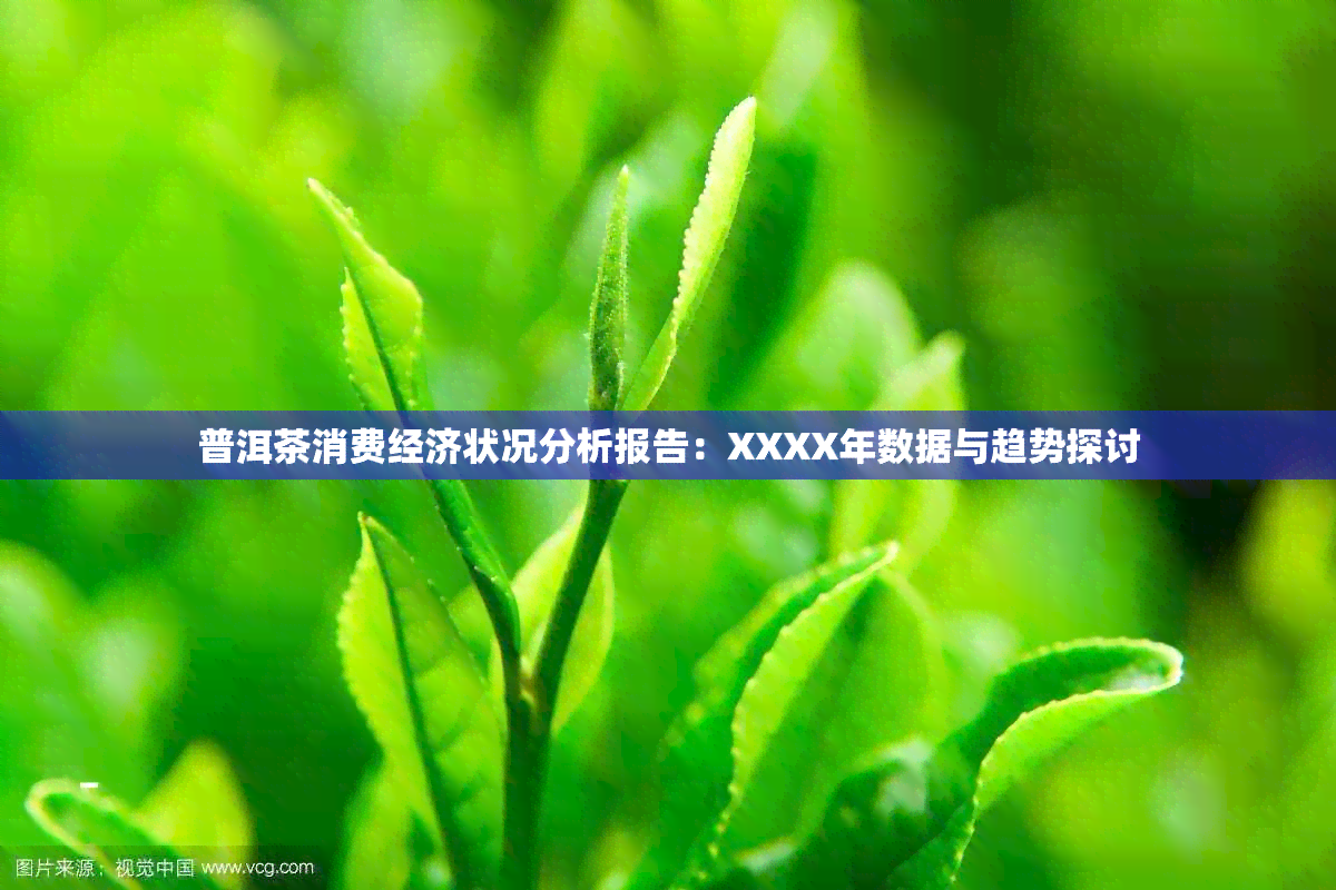 普洱茶消费经济状况分析报告：XXXX年数据与趋势探讨