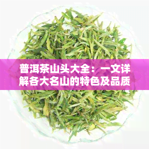 普洱茶山头大全：一文详解各大名山的特色及品质对比，助您挑选优质普洱茶