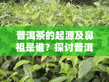 普洱茶的起源及鼻祖是谁？探讨普洱茶的历渊源和文化传承