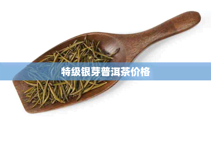 特级银芽普洱茶价格