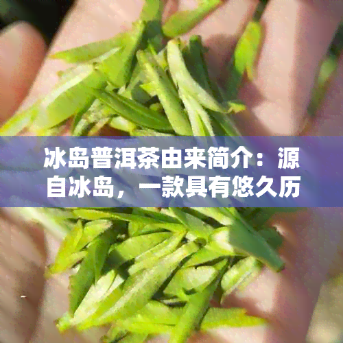 冰岛普洱茶由来简介：源自冰岛，一款具有悠久历的普洱茶。