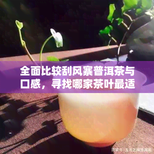 全面比较刮风寨普洱茶与口感，寻找哪家茶叶最适合您？