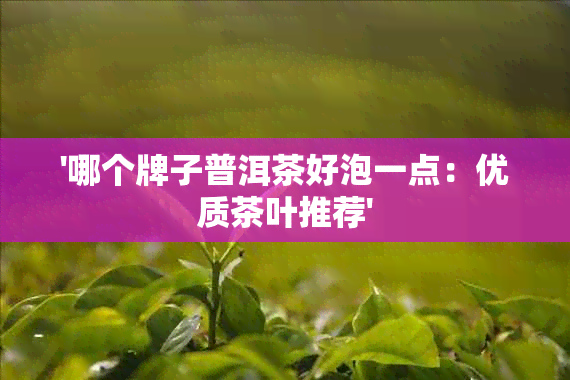 '哪个牌子普洱茶好泡一点：优质茶叶推荐'