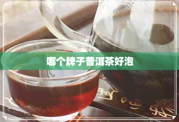 哪个牌子普洱茶好泡