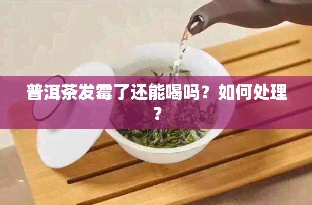 普洱茶发霉了还能喝吗？如何处理？