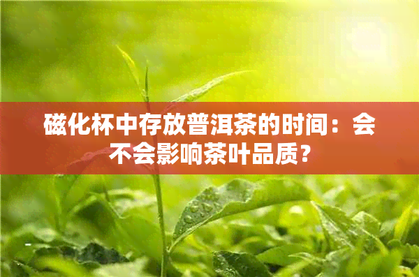 磁化杯中存放普洱茶的时间：会不会影响茶叶品质？