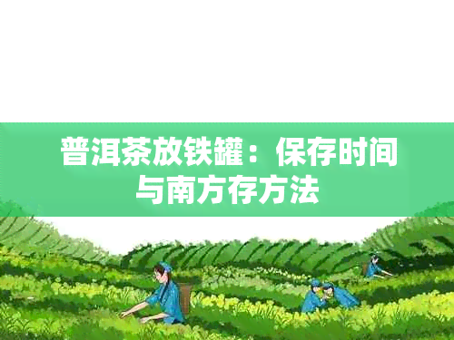 普洱茶放铁罐：保存时间与南方存方法