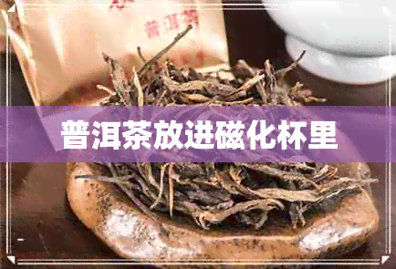 普洱茶放进磁化杯里