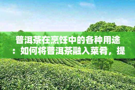 普洱茶在烹饪中的各种用途：如何将普洱茶融入菜肴，提升口感与营养