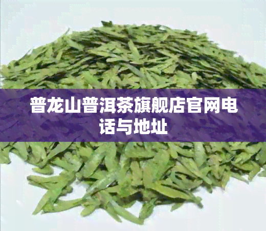 普龙山普洱茶旗舰店官网电话与地址