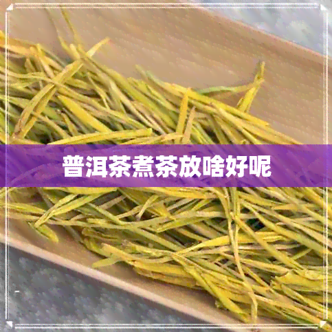 普洱茶煮茶放啥好呢