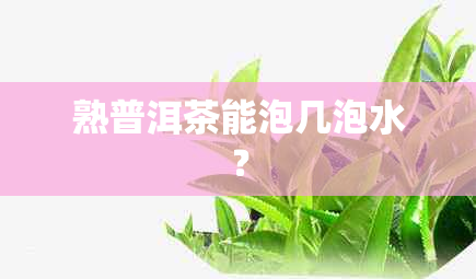 熟普洱茶能泡几泡水？