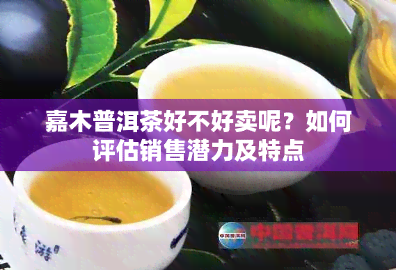 嘉木普洱茶好不好卖呢？如何评估销售潜力及特点