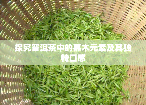 探究普洱茶中的嘉木元素及其独特口感