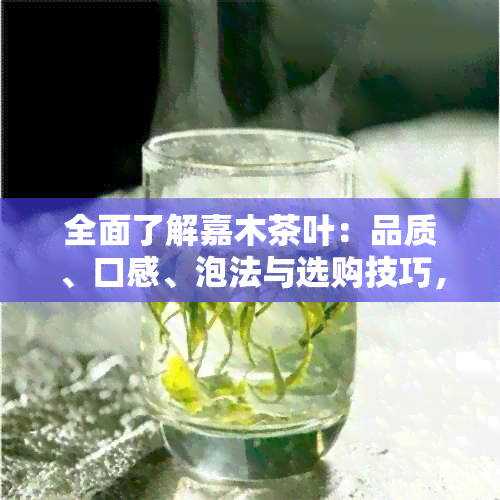 全面了解嘉木茶叶：品质、口感、泡法与选购技巧，让你喝出真正的好茶！