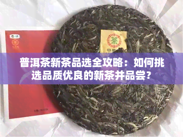 普洱茶新茶品选全攻略：如何挑选品质优良的新茶并品尝？