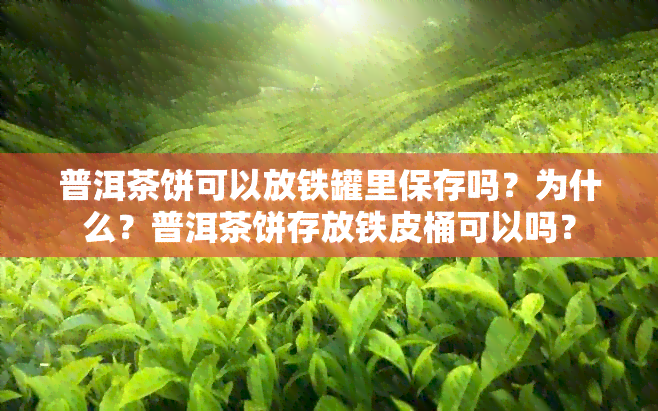 普洱茶饼可以放铁罐里保存吗？为什么？普洱茶饼存放铁皮桶可以吗？