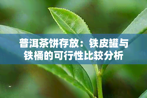 普洱茶饼存放：铁皮罐与铁桶的可行性比较分析