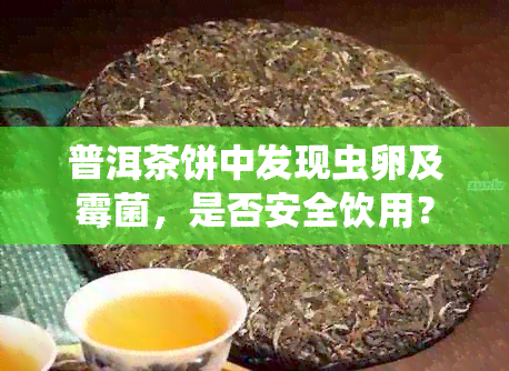 普洱茶饼中发现虫卵及霉菌，是否安全饮用？