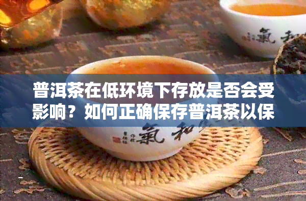 普洱茶在低环境下存放是否会受影响？如何正确保存普洱茶以保持其品质？