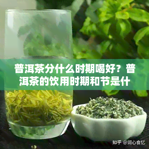 普洱茶分什么时期喝好？普洱茶的饮用时期和节是什么？