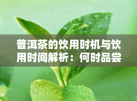 普洱茶的饮用时机与饮用时间解析：何时品尝普洱茶效果？