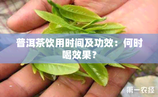 普洱茶饮用时间及功效：何时喝效果？