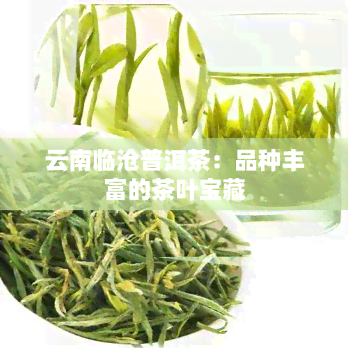 云南临沧普洱茶：品种丰富的茶叶宝藏