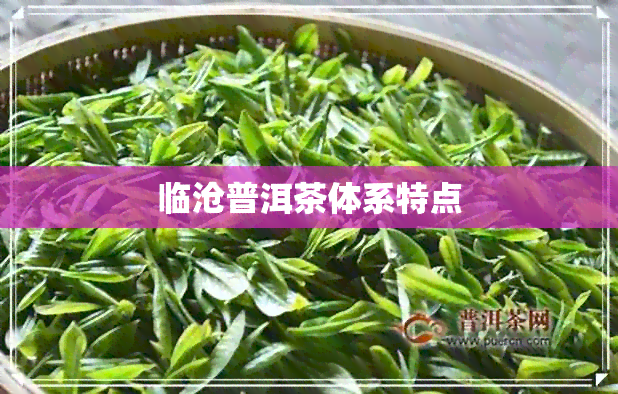 临沧普洱茶体系特点