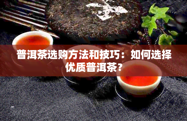 普洱茶选购方法和技巧：如何选择优质普洱茶？