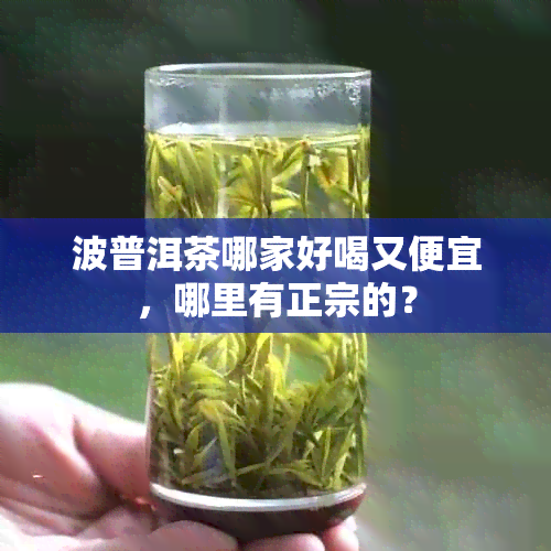 波普洱茶哪家好喝又便宜，哪里有正宗的？