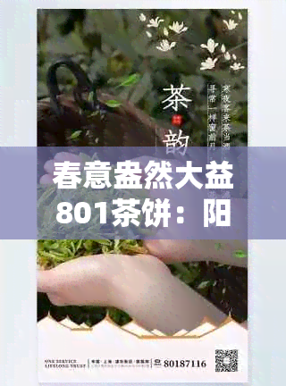 春意盎然大益801茶饼：阳春三月的普洱佳品宴