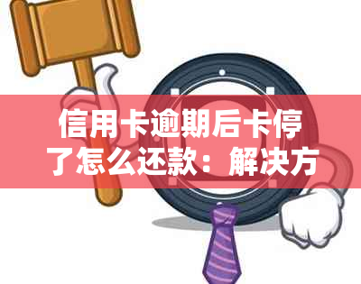 信用卡逾期后卡停了怎么还款：解决方法与步骤