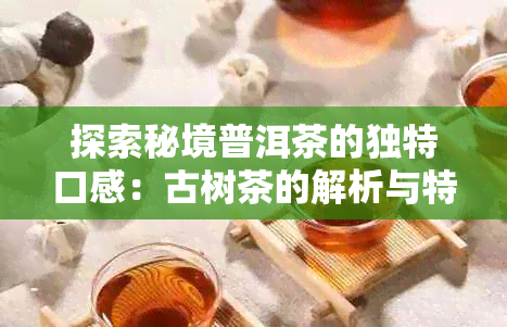 探索秘境普洱茶的独特口感：古树茶的解析与特点