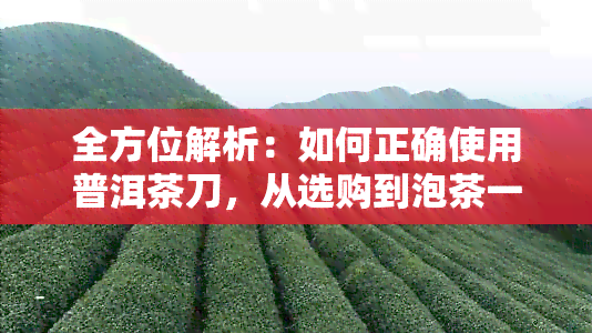 全方位解析：如何正确使用普洱茶刀，从选购到泡茶一应俱全！