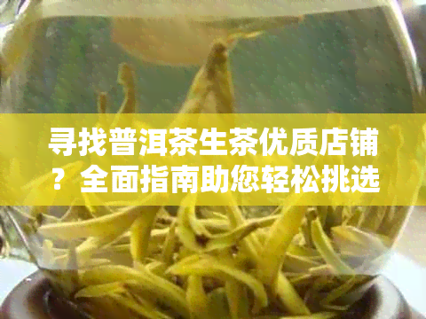 寻找普洱茶生茶优质店铺？全面指南助您轻松挑选！