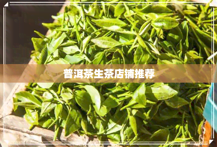 普洱茶生茶店铺推荐