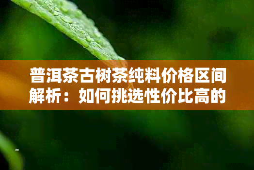 普洱茶古树茶纯料价格区间解析：如何挑选性价比高的茶叶？